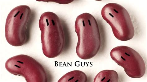 Bean Guys Youtube