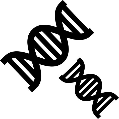 Dna Strands Chemistry Biology Evolution Genetics Svg Png Icon Free