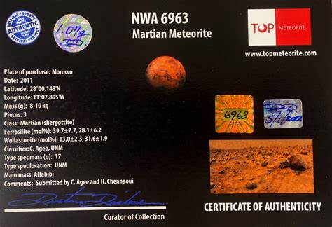 Nwa 6963 Martian Meteorite 107 Gram In Large Display Box In 2022 The