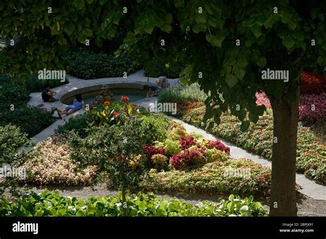 The garden in Espace Van Gogh cultural centre, former hospital, Arles