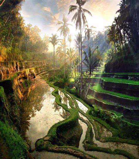 Precioso Asia Travel Beautiful Places Bali Travel