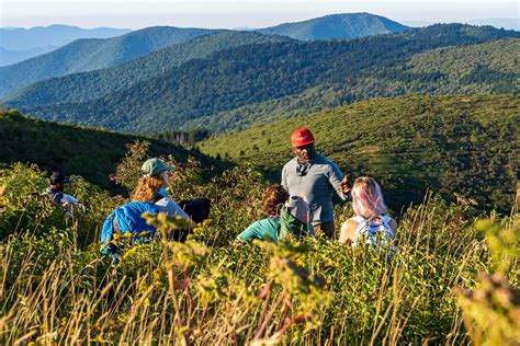 Great Hikes From The Heart Of The Southern Appalachian Mountains