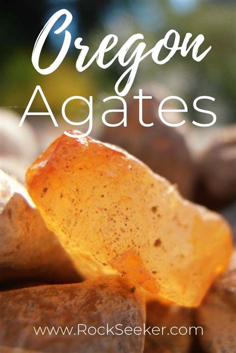 Where To Find Oregon Agates Plus Tips For Finding Them