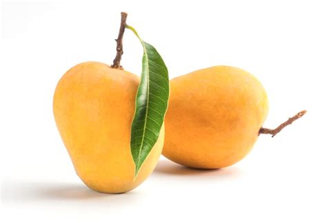 Exploring The Diverse Mango Varieties In India Bestcheck