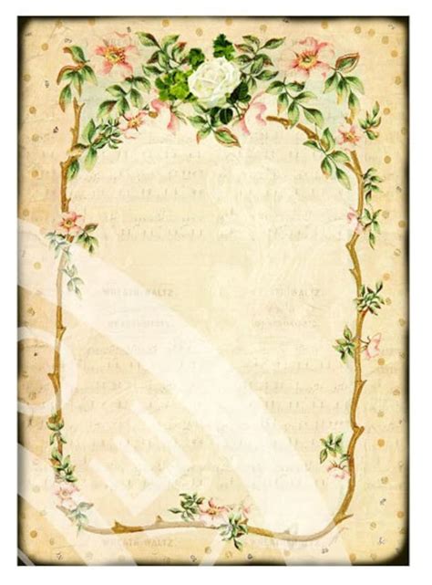 8 Vintage Victorian Flower Rose Frames Postcard Ledge Border Etsy