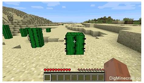 how to plant a cactus in minecraft