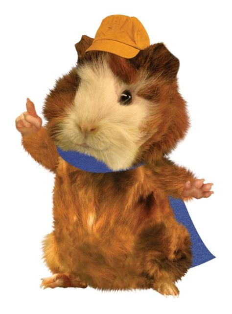 Other Nick Jr Characters Wonder Pets Best Cartoon Shows Childhood