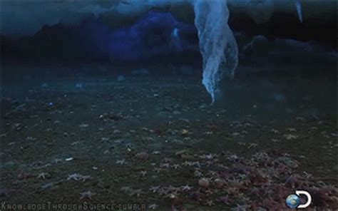 I cut right to the chase and give you the basics of how to use your crystals, what. 20+ Miraculously Awesome Rare Natural Phenomena That Occur ...