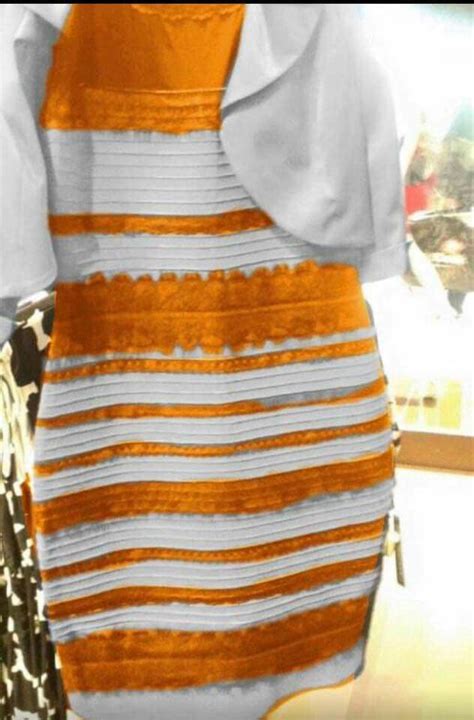 White And Gold Dress Illusion Explained