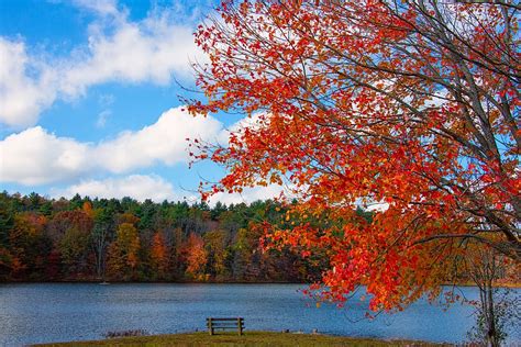 Hd Wallpaper New England Foliage Lake Fall Nature Autumn Leaves
