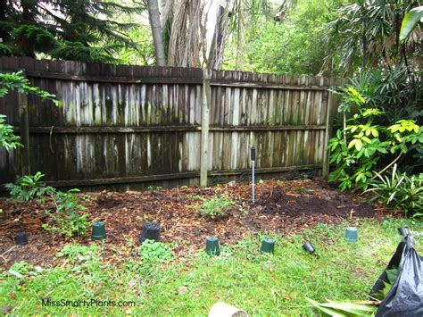 Plants that climb with adhesive disks, like many ivies, climb best on natural materials, such as wood or stone. DIY trellis project - Miss Smarty Plants
