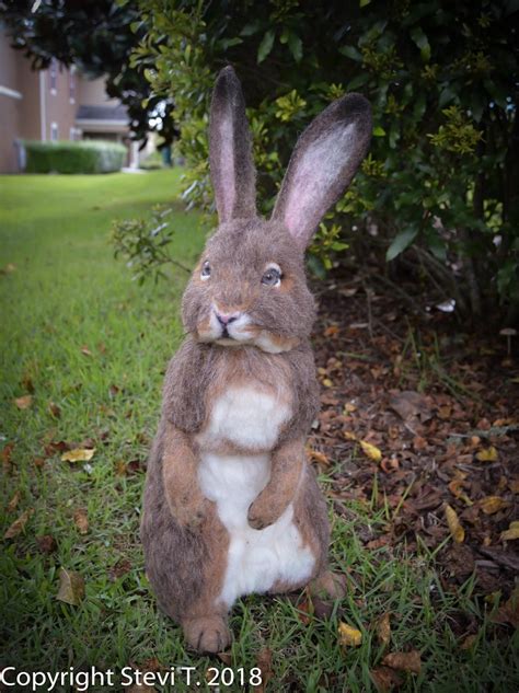 Raggylug, or rag, was the name of a young cottontail rabbit. OOAK Needle felted Alpaca Life Size Cottontail Bunny ...
