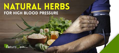 9 Herbs For High Blood Pressure Herbal Remedies To Lower Hypertension