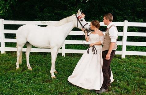 Bride And Horse White Horse Bride And Groom Horse And Groom Horse