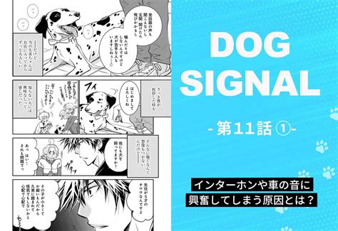 【1話無料試し読み】『dog Signal』全巻各話あらすじまとめ すべての犬好きに捧ぐ漫画ワンクォール