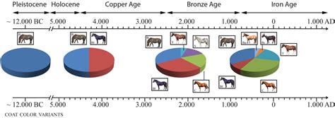 Domestication Of Animals Timeline