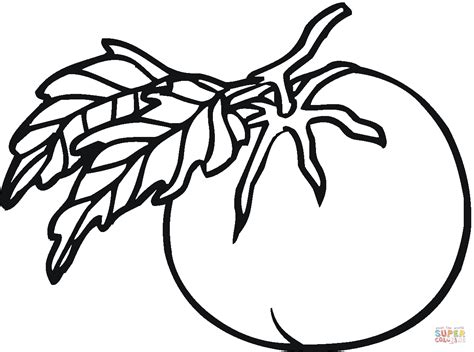 Check spelling or type a new query. Tomato 6 coloring page | Free Printable Coloring Pages