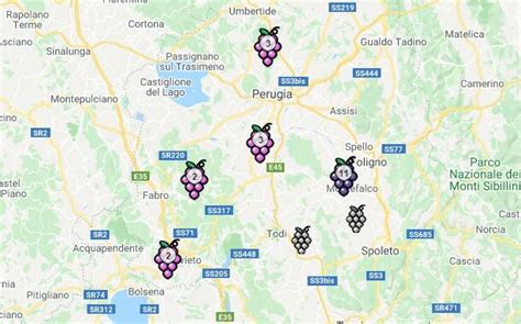 Your 2023 Guide To Umbria Wine Region