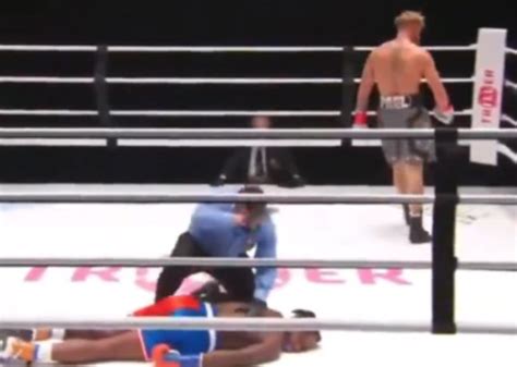 Smacks his face during face off in las vegas! Jake Paul Vs Nate Robinson Png / Jake Paul And Nate Robinson Has Been Postponed To November 28th ...