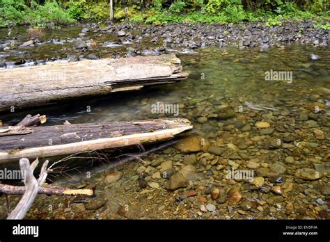 Clear River Rocks Stock Photo Alamy