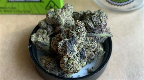Strain Review: Z-41 by Cali Kush Farms - The Highest Critic
