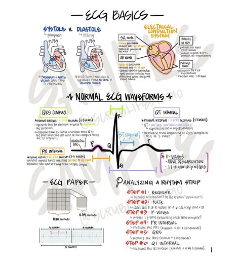 Ecg Rhythm Recognition And Interpretation Packet Nursing Mnemonics