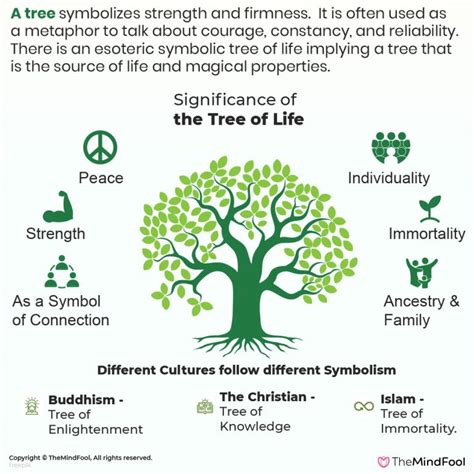 Tree Of Life Meaning What Is It And Its Symbolism Themindfool