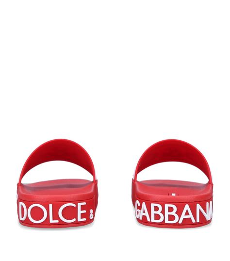 Mens Dolce And Gabbana Red Logo Pool Slides Harrods Uk