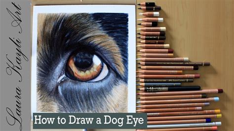 How To Draw A Dog Eye In Colored Pencil Youtube