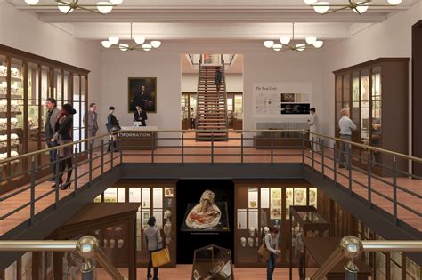 Mutter Museum launching $25 million expansion drive - Association of ...