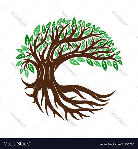 Tree Icon With Branches And Roots Royalty Free Vector Image