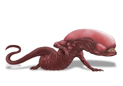 Chestburster Art By Connor Noctambuss Ilustrator Giger Alien Alien