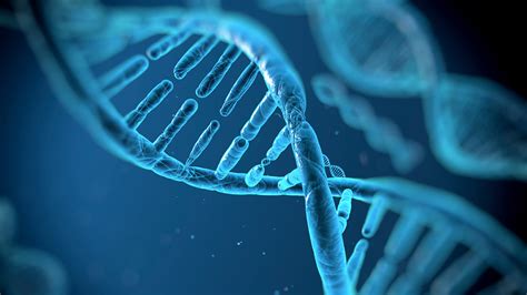 Cancers are attracted to scorpio's intensity. Cancer and genetics - School of Medicine - Cardiff University
