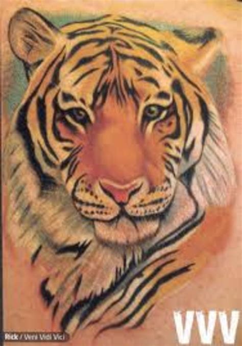It can be a tattoo or used as a saying between members. Tiger Tattoo Designs, Ideas, and Meanings | TatRing