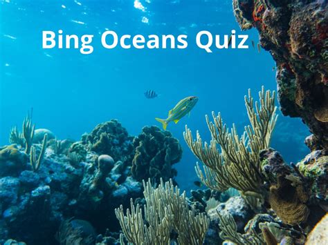 Bing Oceans Quiz Test Your Knowledge On Bing Quiz
