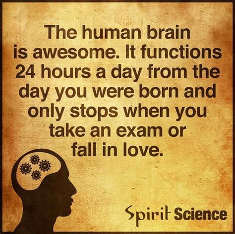 √ Amazing Human Brain Quotes