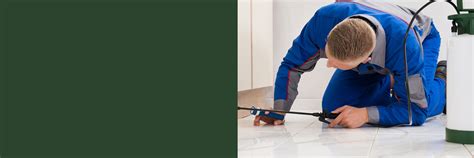 Costs and competency are important. Pest Control - Brownyard Group