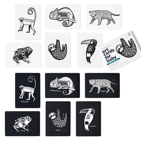 Buy Wee Gallery Black And White Art Flash Cards For Babies High