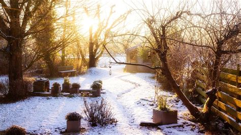 How To Prepare Your Garden For Winter Cbc Life