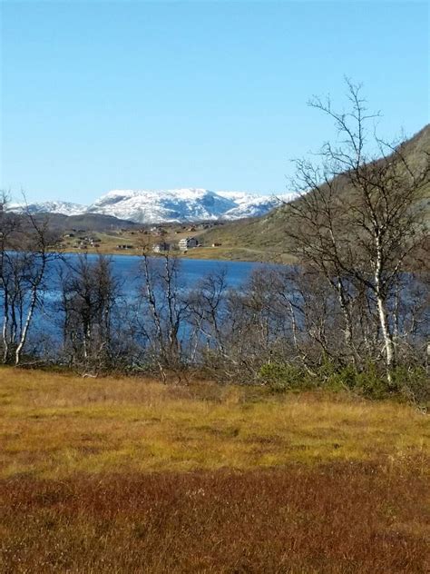 Filefjell — geobox|range name = filefjell native name = other name = fillefjell category wikipedia. Filefjell mot Bergen Norway.