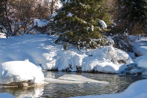 Beautiful Mountain Stream Stock Images Download 117156