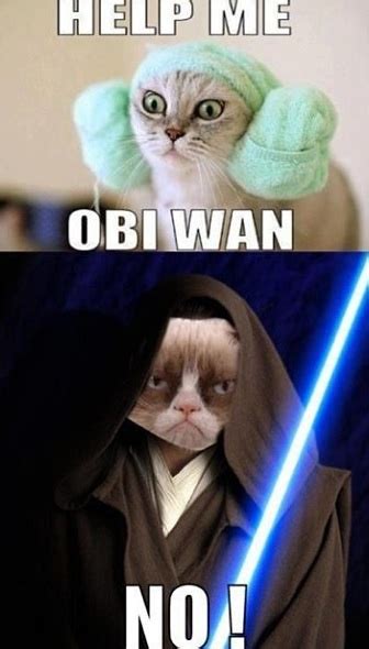 7 Best Images About Jedi Kittens On Pinterest The