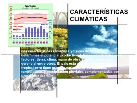 Clima Y Tipos De Clima En Venezuela