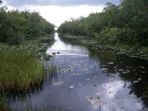 Everglades Florida | Victor and Vincent Kuo's Blog