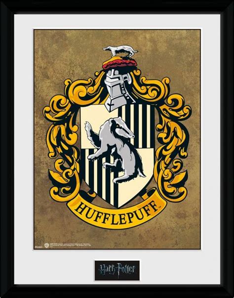 Harry Potter Hufflepuff Framed Collector Print