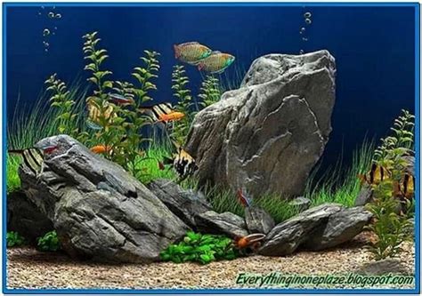 Dream Aquarium Screensaver Full Version Download