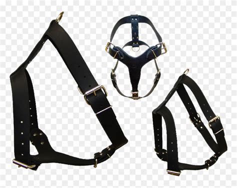 Leather Harness Harness Png Clipart 4217143 Pikpng