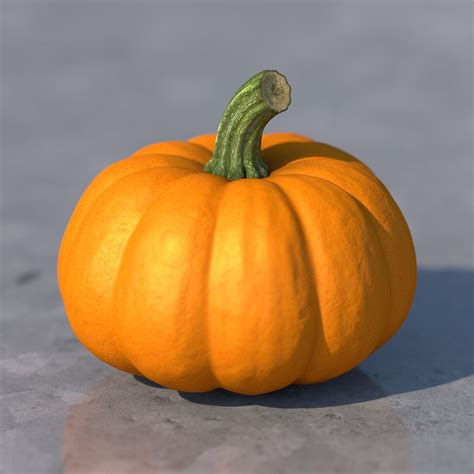 3d max pumpkin | Reference photos for artists, Still life fruit
