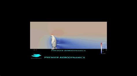 Penguin Aerodynamics Premier Aerodynamics Shorts Youtube