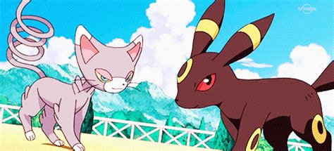 Glameow And Umbreon Are In Love Pokemon Rayquaza Pokemon
